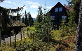 Casa San Gottardo - The Forest House, Etnedal